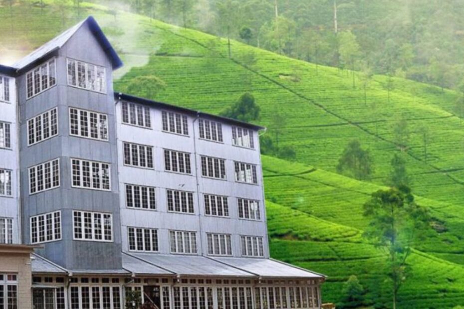 Visit the Hanthana Tea Estate and Museum, showcasing the history and process of tea production in the Hanthana Mountain Range.