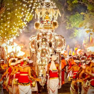 A colorful procession of elephants, dancers, and musicians at the 2023 Kandy Esala Perahera festival in Sri Lanka celebrating the Temple of the Tooth Relic.