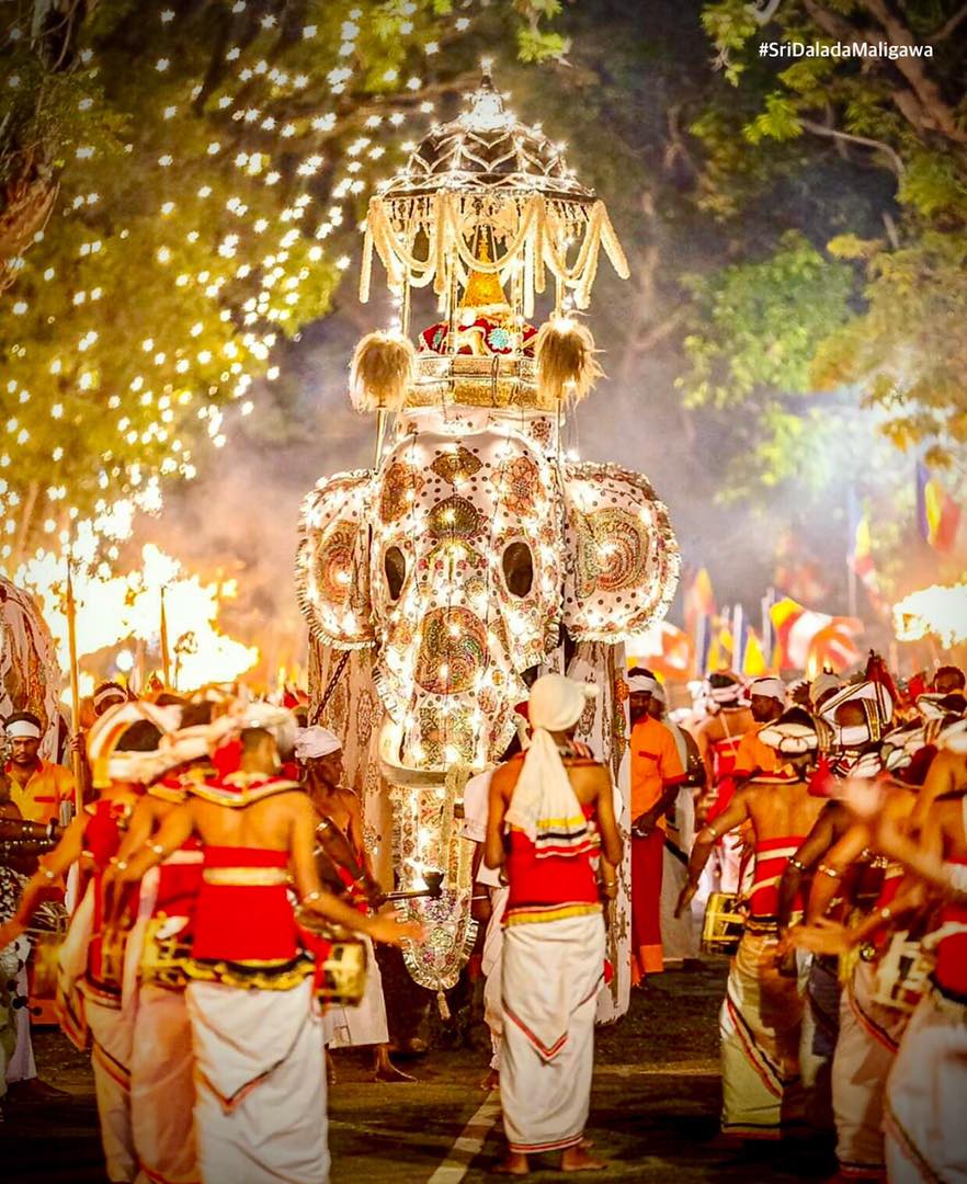 Read more about the article Kandy Esala Perahera: A Spectacular Display of Sri Lankan Culture