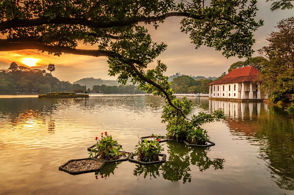 Read more about the article Serene Stroll: A Leisurely Walk Around the Beautiful Kandy Lake in Sri Lanka