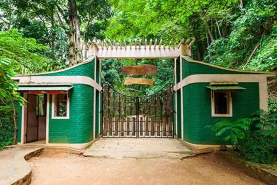 Explore the Udawatta Kele Sanctuary, a dense tropical forest reserve in the heart of Kandy city.