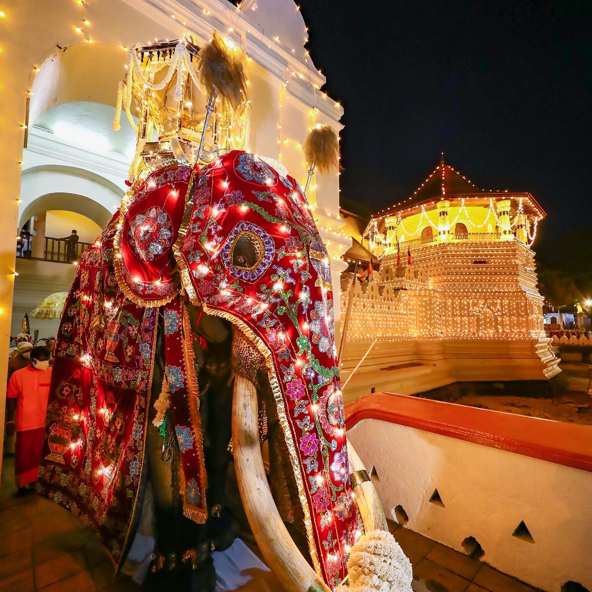An image capturing the grandeur of the Kandy Perahera festival in Sri Lanka, featuring an elephant adorned with traditional finery in honor of the Dalada Karaduwa, the Temple of the Tooth Relic.
