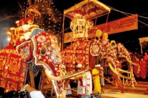 Read more about the article Kandy Esala Perahera: Sri Lanka’s Most Spectacular Festival